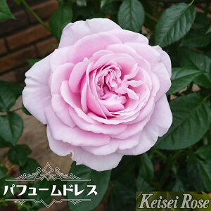 lG炫o ypt[ hXz 2Nc o^iEio^ y\̔z12`N1ח\