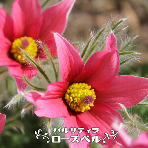 pTeB i mILiOT j [Yx 3|bgc h