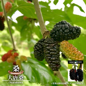 }x[iK̖؁j y哂Kz ږ A y\̔z10`11ח\