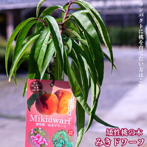  c ␫c y݂h[tz 1Nږؕc o^iEio^