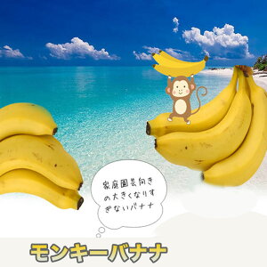 バナナの木 【モンキーバナナ】 ポット苗 沖縄県産熱帯果樹