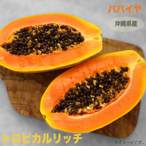 �y�g���s�J�����b�`�z �p�p�C���c 3.5�|�b�g�c ���ꌧ�Y �y�\��̔��z4�����{�����ח\��