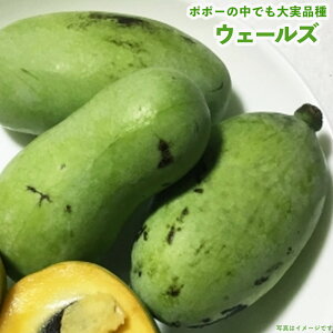 ||[ c yEF[Yz 3Nږؑc