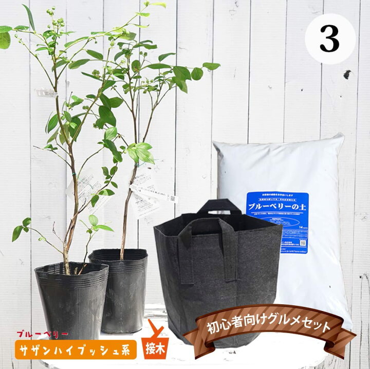 blueberry_set_3.jpg?fitin=720:720