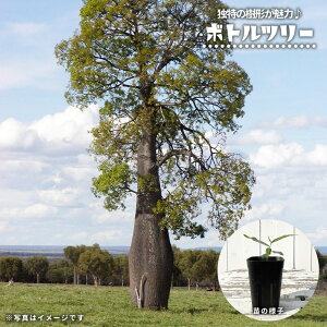 R[fbNX y{gc[z  3|bgc