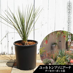 ygv\jA[izbJ i[Z[|bgc ϊ쉢vc