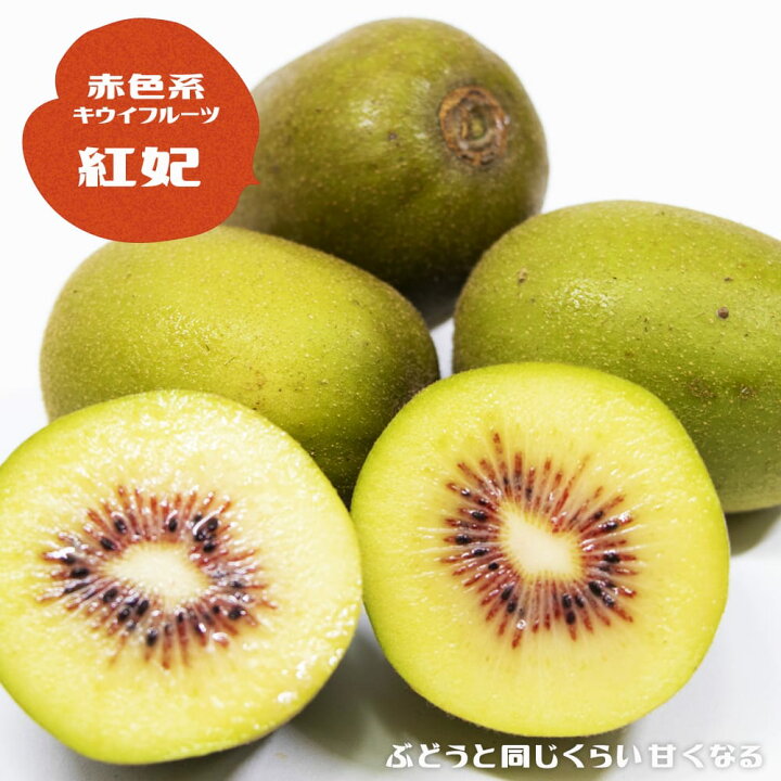 楽天市場】キウイ 苗木セット 【紅妃】 赤系メス 1年生接木苗 単品 or  