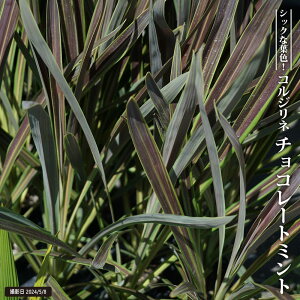 RWlihZij `R[g~g 3.5|bgc