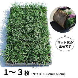 玉竜マット （リュウノヒゲ・タマリュウ・ジャノヒゲ） 1～3枚のセット販売