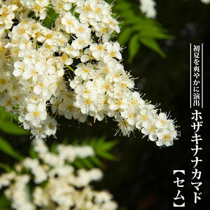 zULiiJ}h yZz 3.5|bgc