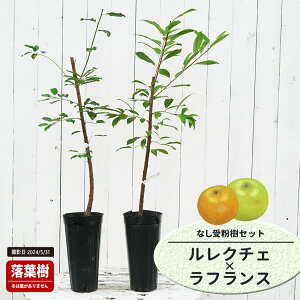 m c yN`Fz 1Nږؕc Pi or 󕲎Zbg