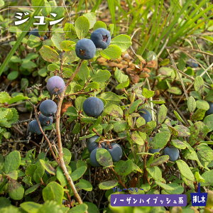 yWz m[UnCubVn 2N}ؕc u[x[c