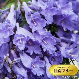 ␫WJ_ yu[z 6A ڂ