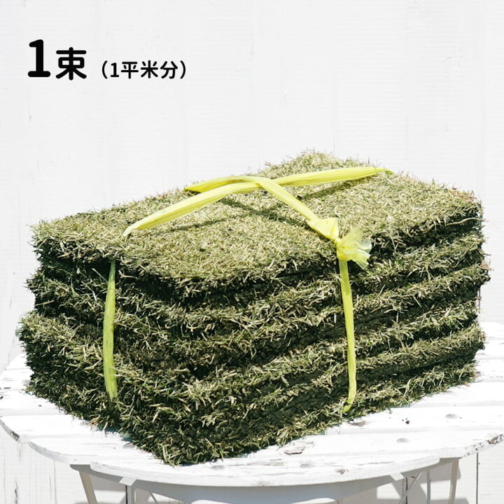 shiba_1soku.jpg?fitin=720:720