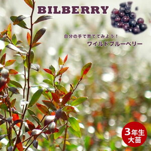 yrx[z Chu[x[c 3N8|bgc