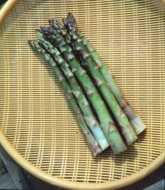 楽天市場 アスパラガス 根の通販