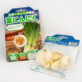 【葉にんにく】 種 球根 100g入りと250g入りから選ぶ。奈良県産 国産 （植え付け時期8月上旬～10月下旬まで）