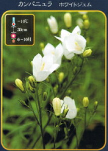 Jpj yzCgWFz 3|bgc y\̔z4`5ח\