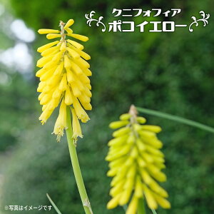 NjtHtBA i gg} A ԌFS j |RCG[ 4|bgc h c N ϊ  y\̔z4`5ח\