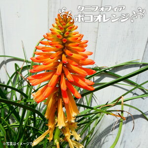 NjtHtBA i gg} A ԌFS j |RIW 4|bgc h c N ϊ  y\̔z4`5ח\