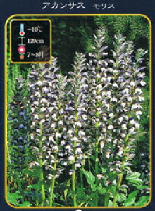 AJTX X 3|bgc h c N ϊ  y\̔z4`5ח\