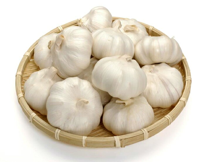 楽天市場 にんにく ホワイト種 球根 300g 中国産 植え付け時期8月下旬 11月上旬まで 苗木部 ｂｙ 花ひろばオンライン