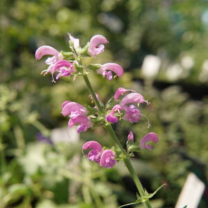 TrA yXC[gGX_z 3|bgc y\̔z3{ח\