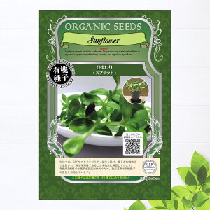 yL@qz Ђ܂ XvEg STCY 13g(270j 펪 N