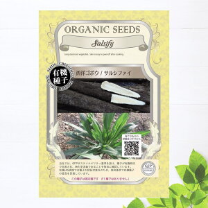 yL@qz mS{E/TVt@C STCY 0.5gi40j 펪 3{`5