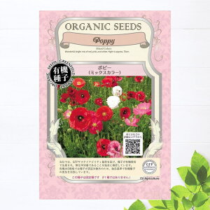 yL@qz |s[i~bNXJ[j STCY0.5g 펪 3`4A9`10