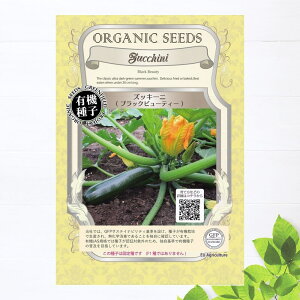 yL@qz YbL[j/ubNr[eB[ STCY 30 펪 3`5