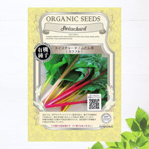 yL@qz XCX`[h/ӂ(Jt) STCY 1.1g(60j 펪 3`10