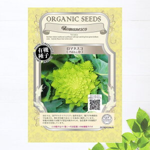 yL@qz }lXRixjJj STCY 10 펪 3`4A8`10