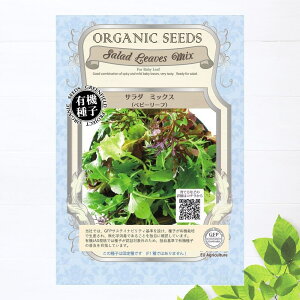 yL@qz T_~bNX ixr[[t) STCY 3.3g (800j 펪 N