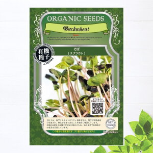 yL@qz  XvEg STCY 15g(400j 펪 N