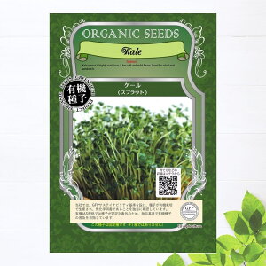 yL@qz P[ XvEg STCY 11g(5300j 펪 N