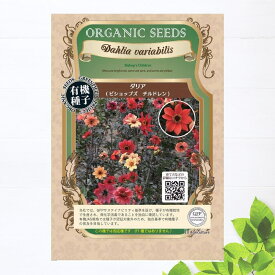 楽天市場 ダリア 苗 種子 ガーデニング 農業 花 ガーデン Diyの通販