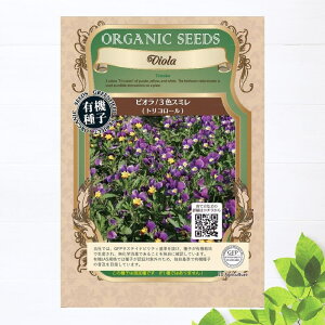 yL@qz rI/3FX~(gR[) STCY 160 펪 3A8{`10