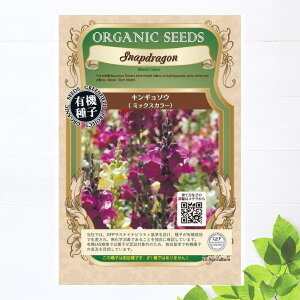 yL@qz LM\E STCY 0.1g 펪 3`5A8`10