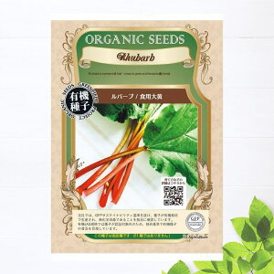 yL@qz o[u/Hp剩 STCY 25 펪 4`5A9