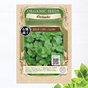 yL@qz RA_[/pN`[/VTC STCY 3.0g(260j 펪 4`7A9`10