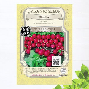 yL@qz fBbV/\卪i[gEh^Cvj STCY 2.0gi280j 펪 3`10