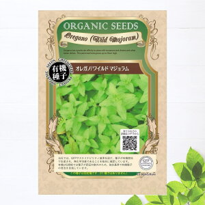 yL@qz IKm/Ch}W STCY 0.04g(210j 펪 4`6A9`10