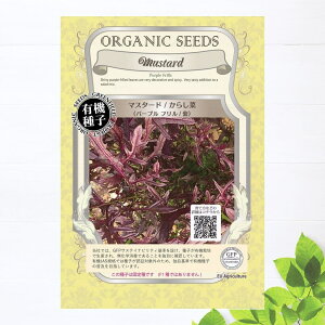 yL@qz }X^[h i炵 p[vt ) STCY 0.8g(450j 펪 3`5A9`10