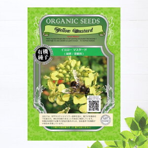 yL@qz CG[}X^[hiΔ/iϗpj STCY 16g(2400j 펪 3`10