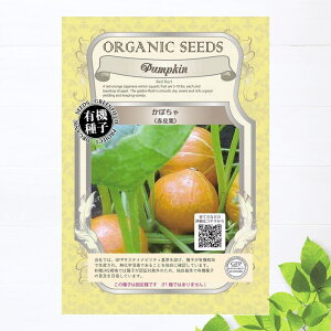 yL@qz J{`/ԔI STCY 15 펪 3`6