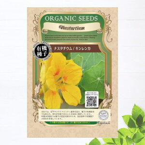 yL@qz iX^`E/LJ STCY 12 펪 3`5A9`10