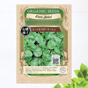 yL@qz R[T_/}[V STCY 0.6g(300j 펪 3`6A9`10