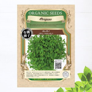 yL@qz IKm(O[NIKm) STCY 0.1g(130j 펪 4`6A9`10