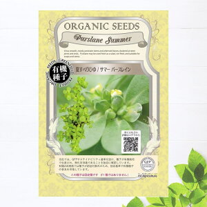 yL@qz ĂׂЂ/T}[p[XC STCY 0.3gi650j 펪 3`5A9`10